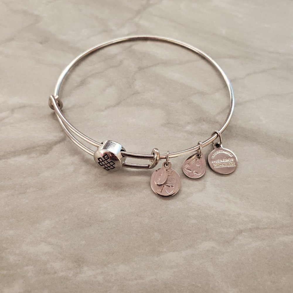 💖 Alex and Ani Endless Know Silver Expandable Charm Bracelet 💖 - Picture 2 of 4